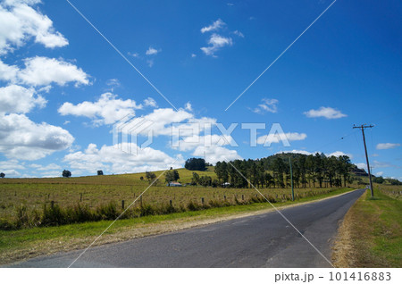青空のオーストラリアの田舎道を歩く 101416883