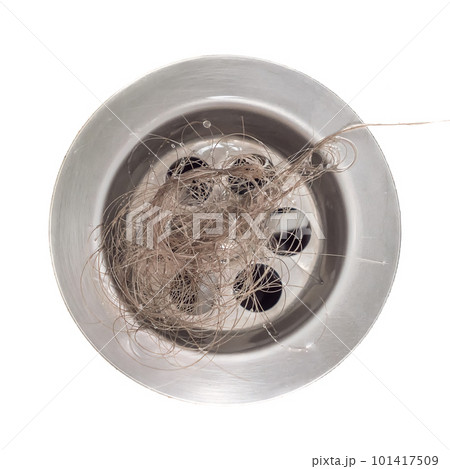 A bundle of blonde women's hair was left in the bathroom drain after a shower. Close-up, top view. The problem of hair loss. Isolated on a white background. 101417509