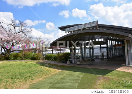 佐野市 佐野駅自由通路城山公園口(北口)と満開桜 佐野市 佐野駅自由通路城山公園口(北口)と満開桜 101418106