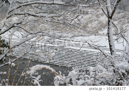 兵庫県宍粟市波賀町の河原の雪景色 兵庫県宍粟市波賀町の河原の雪景色 101418177