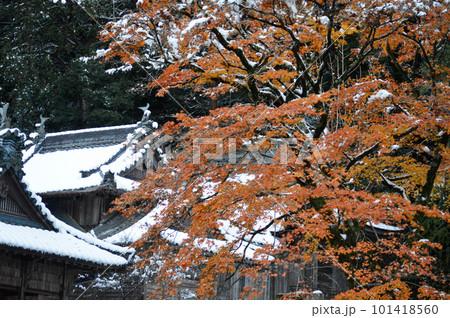 兵庫県神崎郡神河町比延の日吉神社の雪と紅葉 兵庫県神崎郡神河町比延の日吉神社の雪と紅葉 101418560