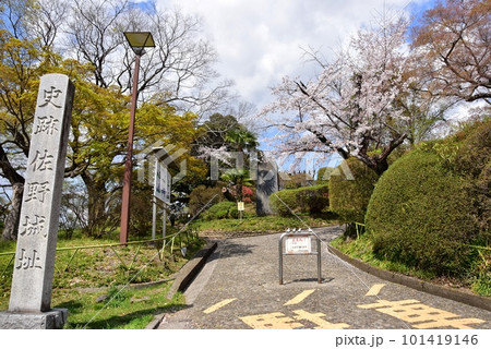 佐野市 城山公園(佐野城跡)散策路入口と満開桜と新緑 佐野市 城山公園(佐野城跡)散策路入口と満開桜と新緑 101419146