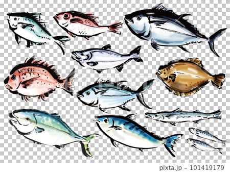 水墨画 魚と海産物 手描き - 絵画