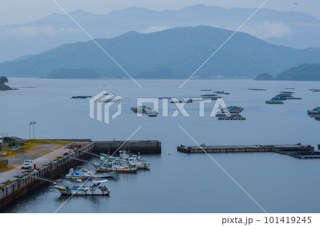 愛媛県宇和島市遊子水荷浦の段畑から見た海 愛媛県宇和島市遊子水荷浦の段畑から見た海 101419245