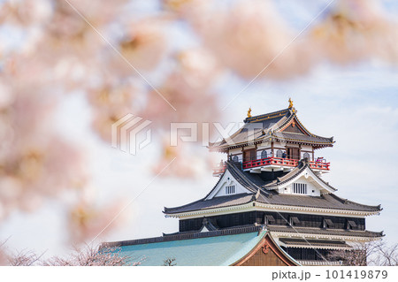 春の清洲城、満開の桜〈愛知県清須市〉 101419879