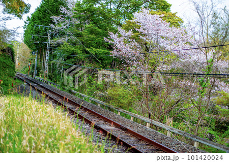 線路と桜 101420024