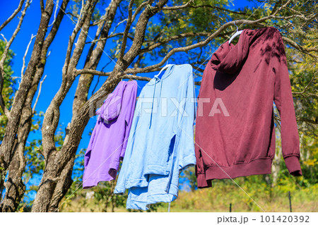 山の中で洗濯物を干す 山の中で洗濯物を干す 101420392