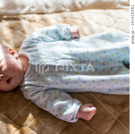 赤ちゃん 101420561