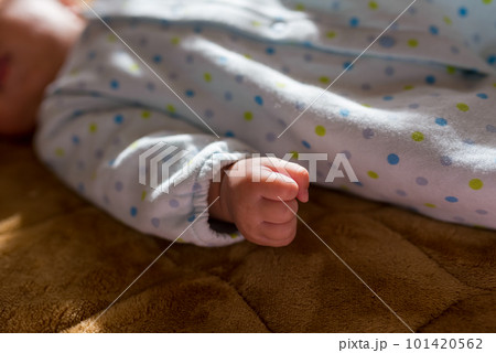 赤ちゃん 101420562