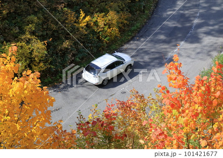 秋の紅葉に染まる裏磐梯(西吾妻スカイバレー 福島県 裏磐梯) 秋の紅葉に染まる裏磐梯(西吾妻スカイバレー 福島県 裏磐梯) 101421677
