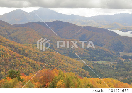 秋の紅葉に染まる裏磐梯(西吾妻スカイバレー 福島県 裏磐梯) 秋の紅葉に染まる裏磐梯(西吾妻スカイバレー 福島県 裏磐梯) 101421679