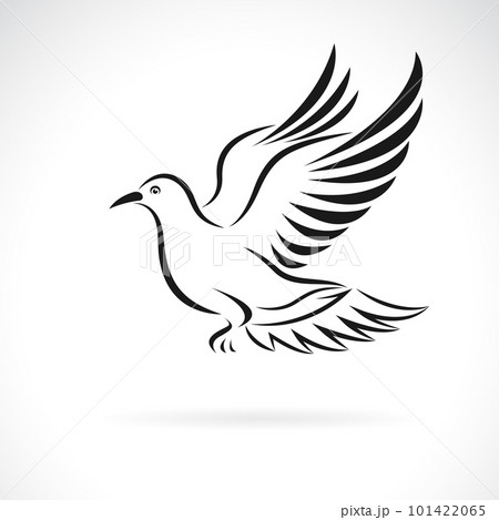 White Flying Pigeon With Olive Branch And Rays, Line Sketch. , Faith And  Religious Symbol, Vector Illustration. Royalty Free SVG, Cliparts, Vectors,  and Stock Illustration. Image 140809780.