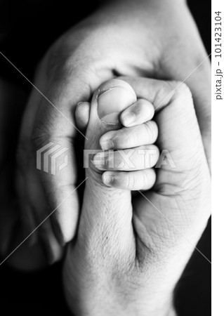 Close-up of the small hand of the child and the hand of the mother and father. A newborn baby after birth clings tightly to the finger of its parents. Black and white professional studio macro photo 101423104