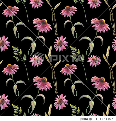 Watercolor seamless pattern with echinacea flowers and field herbs, drawing by watercolor, hand drawn floral illustration, isolated on black background, herbal ornament. 101424407