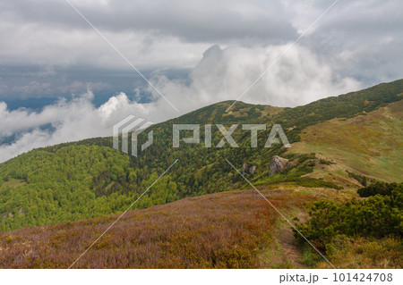 Mountain pass Bublen, view from path to Maly Krivan, national park Mala Fatra, Slovakia, in spring cloudy day 101424708