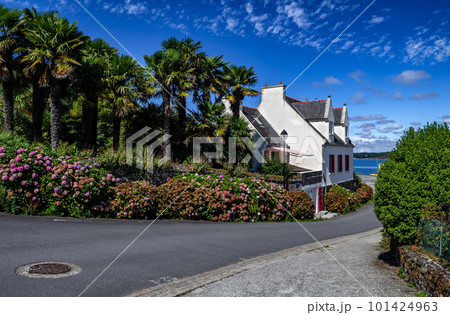 Picturesque Alley Of Finistere Village Landevennec In Nature Park Amorique In Brittany, France Picturesque Alley Of Finistere Village Landevennec In Nature Park Amorique In Brittany, France 101424963