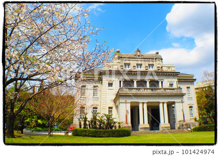 桜と鹿児島の県政記念館（旧鹿児島県庁） 101424974