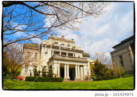 桜と鹿児島の県政記念館(旧鹿児島県庁) 桜と鹿児島の県政記念館(旧鹿児島県庁) 101424975