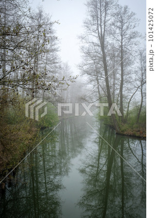 Water canal in spring in the biosphere reserve Spree forest, Spreewald, in Luebbenau in the state of Brandenburg, Germany 101425072