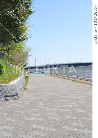 東京都 江東区 潮見さざなみ公園 新緑 の風景 101426057
