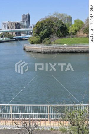 東京都 江東区 潮見さざなみ公園 新緑 の風景 101426062
