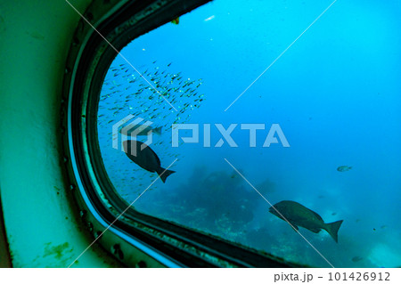 千葉県　勝浦市　青い海の中に立つ勝浦海中展望塔（海中展望室） 101426912