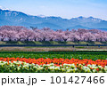 春の四重奏 101427466