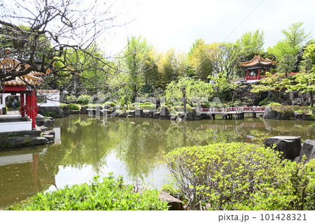 池のある中国庭園② 池のある中国庭園② 101428321