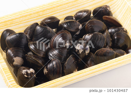 青森県産　十三湖　大和しじみ 101430487