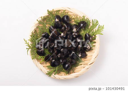 青森県産　十三湖　大和しじみ 101430491