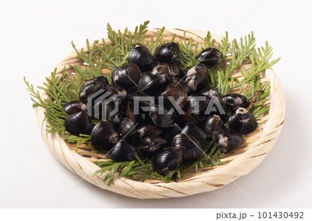 青森県産　十三湖　大和しじみ 101430492