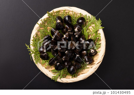 青森県産　十三湖　大和しじみ 101430495