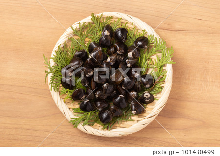 青森県産　十三湖　大和しじみ 101430499