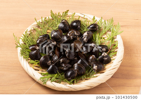 青森県産　十三湖　大和しじみ 101430500