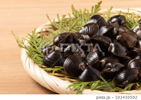 青森県産　十三湖　大和しじみ 101430502