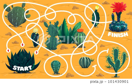 Labyrinth maze. Cacti succulents in desert. Children labyrinth quiz, kids search path playing activity page or riddle vector worksheet with prickly plants, dessert prickly cactuses and succulents Labyrinth maze. Cacti succulents in desert. Children labyrinth quiz, kids search path playing activity page or riddle vector worksheet with prickly plants, dessert prickly cactuses and succulents 101430901