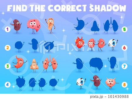 Find correct shadow of cartoon human organ characters, vector quiz game. Heart, brain and funny cute kidneys or nose and eye, health and medicine shadow matching puzzle game with spleen and bladder 101430988