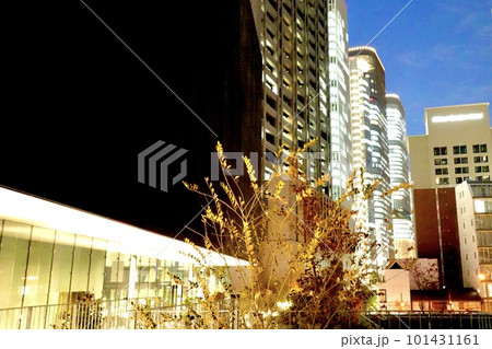 大阪中之島美術館の南側の夜景 大阪市北区 大阪中之島美術館の南側の夜景 大阪市北区 101431161