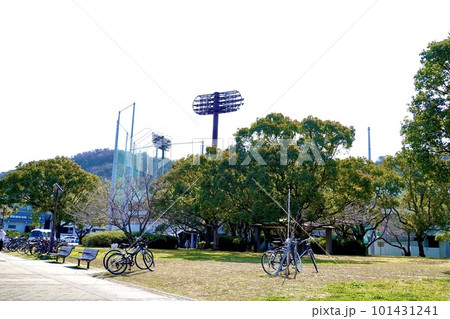 紀三井寺公園野球場を公園のメインストリートから見た風景　和歌山市毛見 101431241