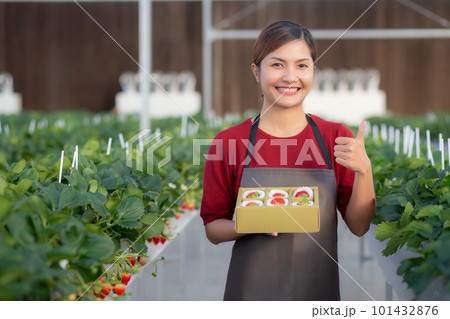 Portrait beautiful young asian woman holding box strawberry in farm. Portrait beautiful young asian woman holding box strawberry in farm. 101432876