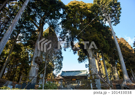 身延山頂の日蓮聖人お手植え杉と思親閣の仁王門(山梨県) 身延山頂の日蓮聖人お手植え杉と思親閣の仁王門(山梨県) 101433038
