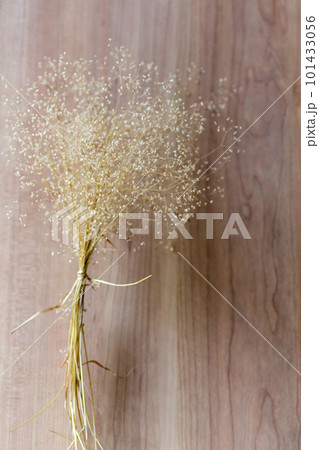 ヒメコバンソウのドライフラワーの花束 ヒメコバンソウのドライフラワーの花束 101433056