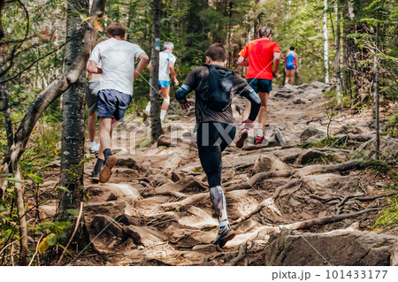 group runners men and women run uphill marathon race in woods, running on rocks and tree roots summer race 101433177