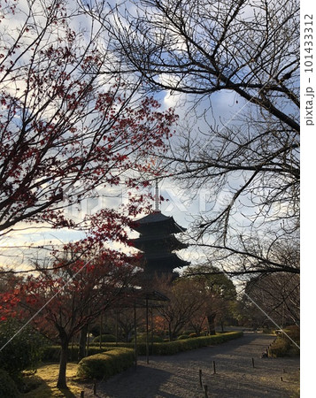 東寺の五重塔と紅葉 101433312