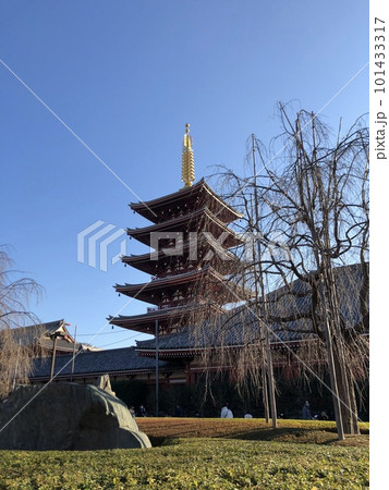 冬の青空に映える東寺の五重塔 101433317