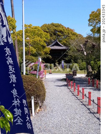 野間大坊　本殿　鐘楼堂　巡拝路　大門　悠紀殿 101433345