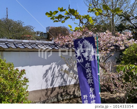 野間大坊 本殿 鐘楼堂 巡拝路 大門 悠紀殿 野間大坊 本殿 鐘楼堂 巡拝路 大門 悠紀殿 101433354