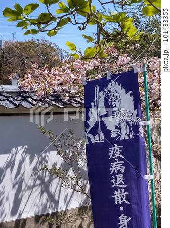 野間大坊　本殿　鐘楼堂　巡拝路　大門　悠紀殿 101433355