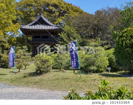 野間大坊 本殿 鐘楼堂 巡拝路 大門 悠紀殿 野間大坊 本殿 鐘楼堂 巡拝路 大門 悠紀殿 101433364
