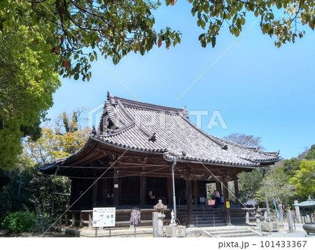 野間大坊 本殿 鐘楼堂 巡拝路 大門 悠紀殿 野間大坊 本殿 鐘楼堂 巡拝路 大門 悠紀殿 101433367